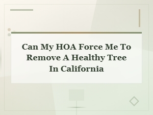 Can Your Hoa Force You to Remove a Healthy Tree?