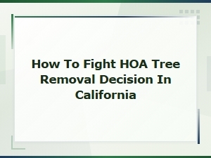 How to Fight Hoa Tree Removal Decisions in California