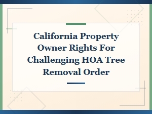California Owners' Rights to Challenge Hoa Tree Removal
