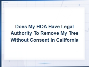 Can an Hoa Remove Your Tree Without Consent in California?